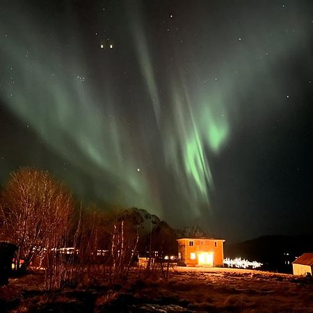 PederStua Villa Storeidet Luaran gambar